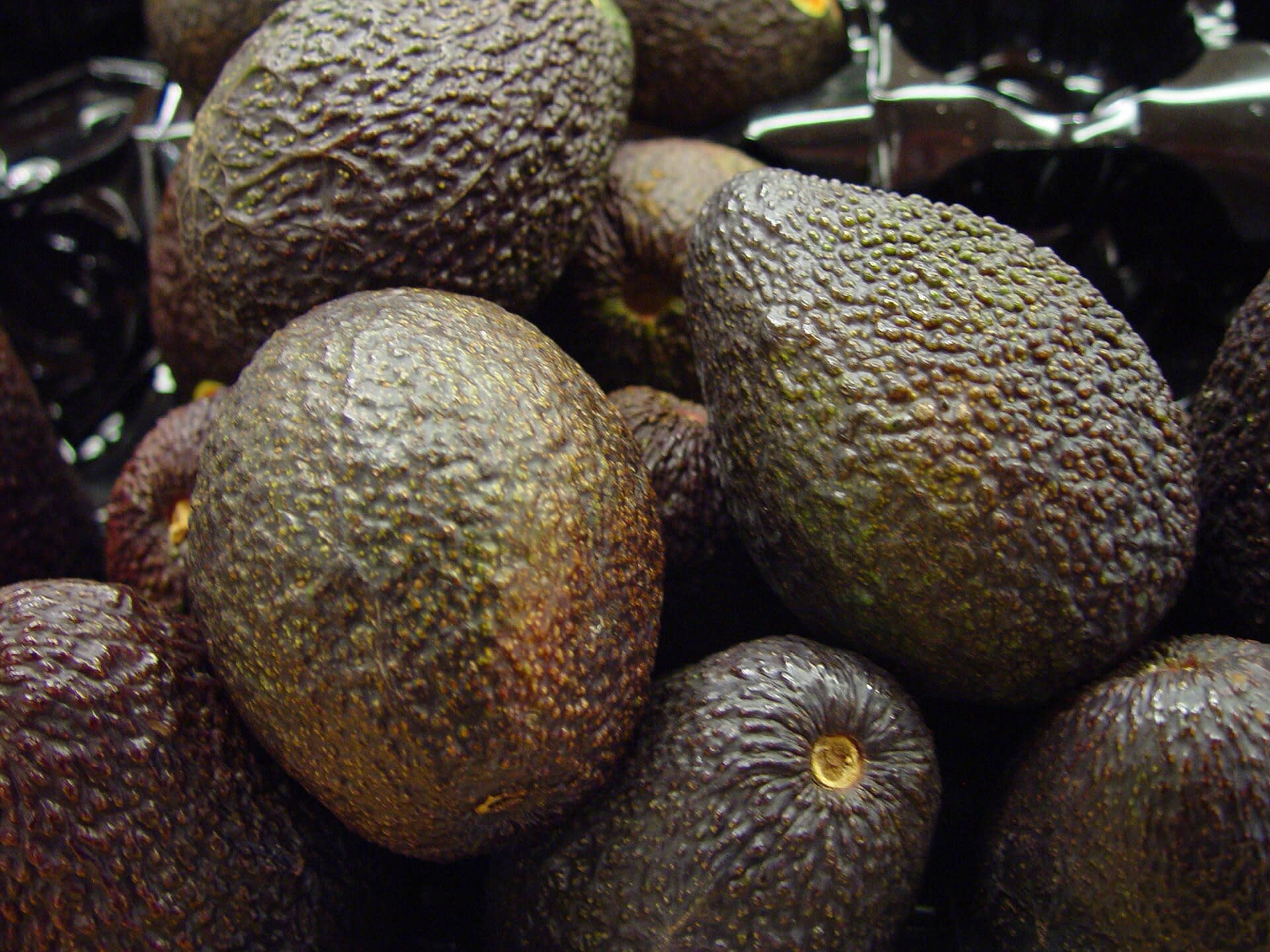 Fresh avocados