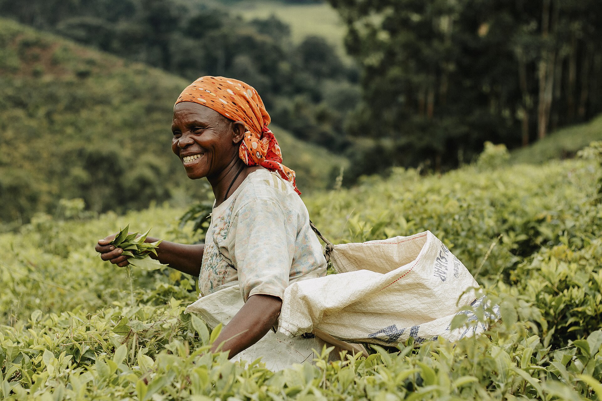Smiling picker