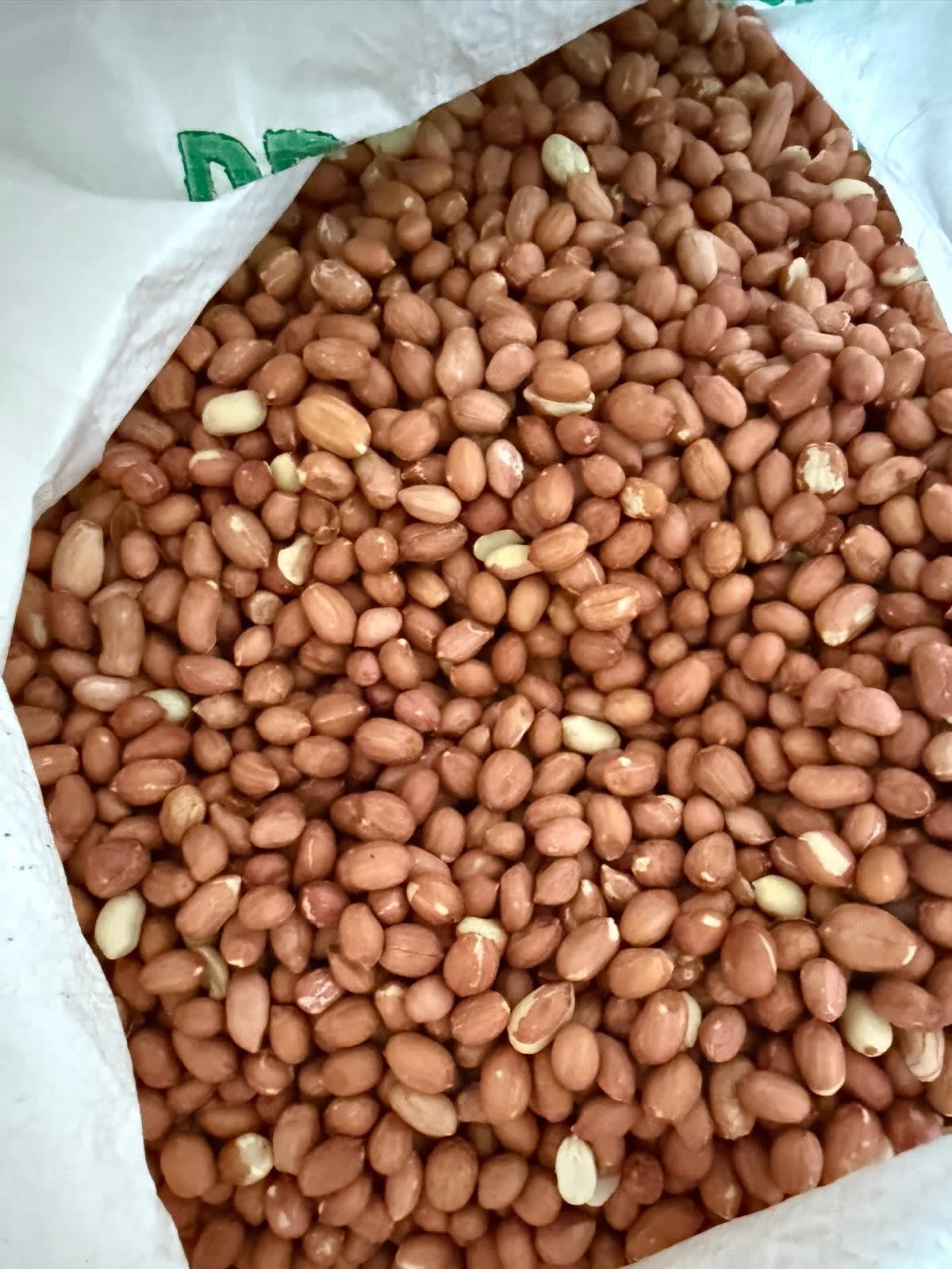 Groundnuts in sacks