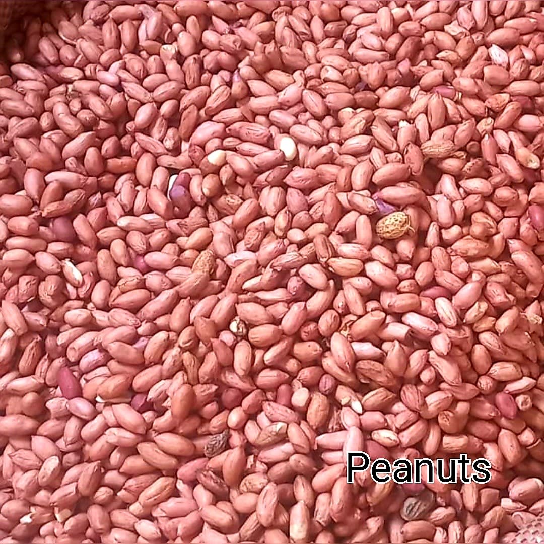 Peanuts