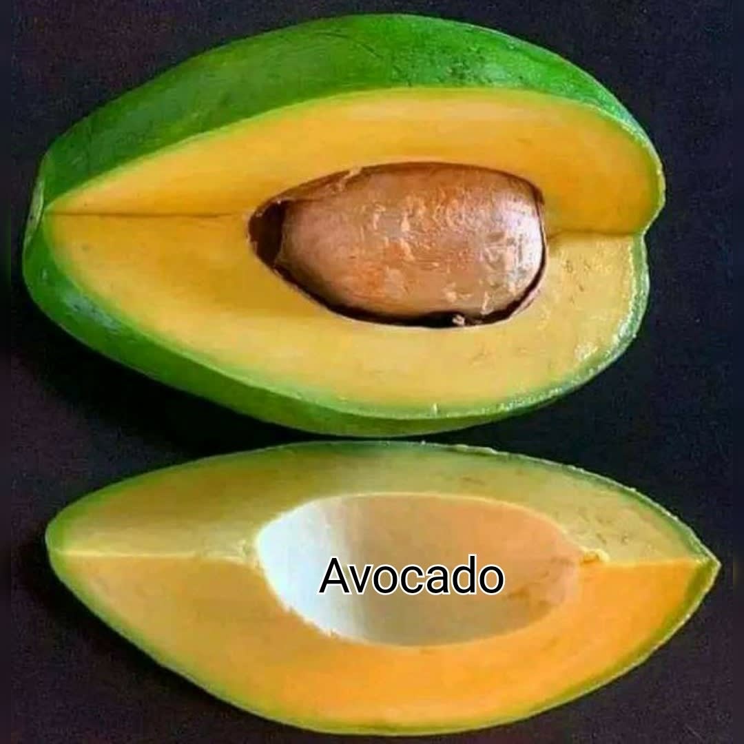 Avocado cut open